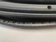 T?rgummis Links Hinten 4L0833721 Audi Q7 (4LB) SUV 3.0 TDI V6 24V (BUG) 2006-09