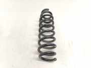 Schraubenfeder Hinten BMW 3 serie (E92) CoupÃ© 320i 16V (N43-B20A) 2010-04