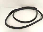 T?rgummis Rechts 51829202 Fiat 500 (312) Schr?gheck 1.2 (169.A.4000(Euro 5)) 2009-06