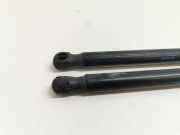 Gasdruckfedern Set Hinten 8M51A406A10AC Ford Focus 2 Schrägheck 1.6 16V (SHDA(Euro 5)) 2010