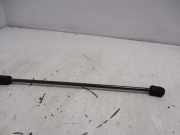 Gasdruckfeder Links Vorne 31218478 Volvo C30 (EK/MK) Schrägheck 3-drs 1.6 D 16V (D4164T) 2009-10