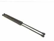 Gasdruckfedern Set Hinten 9683733980 CitroÃ«n C3 (SC) SchrÃ¤gheck 5-drs 1.6 16V VTi 120 (EP6C(5FS)) 2010-08 EP6C(5FS)
