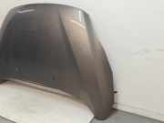 Motorhaube PAM51U16610AC Ford C-Max (DXA) Großraumlimousine 1.0 Ti-VCT EcoBoost 12V 125 (M1DD) 2013-10