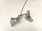 TÃ¼rscharniere Links Vorne 804010016RG Renault Clio IV Estate/Grandtour (7R) Kombi 5-drs 0.9 Energy TCE 90 12V (H4B-408(H4B-B4)) 2017-02