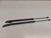 Gasdruckfedern Set Hinten 5NA827550B Volkswagen Tiguan (AD1) SUV 2.0 TDI 16V BlueMotion Techn.SCR 4Motion (DFGA) 2016-09 DFGA