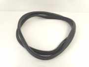 TÃ¼rgummis Links Hinten 769234807R Renault Clio IV (5R) SchrÃ¤gheck 5-drs 1.5 Energy dCi 90 FAP (K9K-639) 2014-12