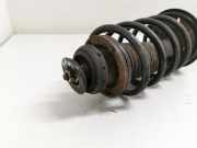 Federbein Links Vorne Daewoo / Chevrolet Kalos (SF48) Schr?gheck 1.2 (B12S1(Euro 4)) 2007-03