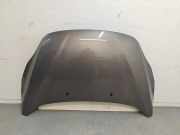 Motorhaube PAM51U16610AC Ford C-Max (DXA) Großraumlimousine 1.6 TDCi 16V (T1DB(Euro 5)) 2013-04