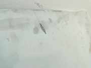 Motorhaube 6510000Q0B Nissan Primastar Van 2.0 dCi 120 (M9R-M7) 2008-03