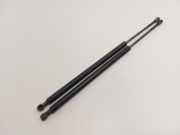 Gasdruckfedern Set Hinten 51248402405 BMW X5 (E53) SUV 3.0 24V (M54-B30(306S3)) 2001-09