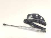 Motorhaubescharnier 3D0823302D Volkswagen Phaeton (3D) Limousine 3.2 V6 30V (BKL) 2004-05 BKL