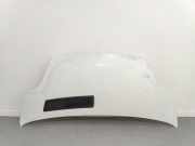 Motorhaube 6510000Q0B Nissan Primastar Van 2.0 dCi 120 (M9R-M7) 2008-03
