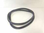 TÃ¼rgummis Links Hinten 9670311480 CitroÃ«n C3 (SC) SchrÃ¤gheck 5-drs 1.6 16V VTi 120 (EP6C(5FS)) 2012-04 EP6C(5FS)