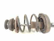 Federbein Rechts Vorne 8200661698A Renault Twingo II (CN) Schr?gheck 3-drs 1.2 16V GT TCE (D4F-782(Euro 5)) 2007-11