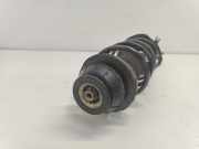 Federbein Links Vorne 485200H040 Citro?n C1 Schr?gheck 1.0 Vti 68 12V (1KR-FE(CFB)) 2016-09 1KR-FE(CFB)