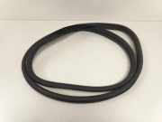 Türgummis Links Hinten 8200428869 Renault Clio III (BR/CR) Schrägheck 1.2 16V 75 (D4F-740) 2006-09