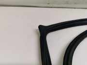 T?rgummis Rechts Vorne Mitsubishi Grandis (NA) Gro?raumlimousine 2.4 16V MIVEC (4G69) 2006-08