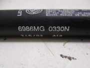 Gasdruckfedern Set Hinten 46744596 Fiat Punto II (188) SchrÃ¤gheck 1.2 60 S (188.A.4000) 2003-01