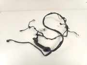 Kabelbaum 916801J040 Hyundai i20 Schr?gheck 1.2i 16V (G4LA) 2010-04