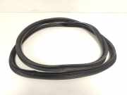 Türgummis Links Hinten 9025W7 Citroën C3 (SC) Schrägheck 5-drs 1.6 16V VTi 120 (EP6C(5FS)) 2010-08