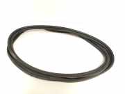 Heckklappe Gummi BM51N404A06SF Ford Focus 3 Wagon Kombi 1.0 Ti-VCT EcoBoost 12V 125 (M1DC) 2013-06