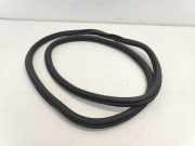 Türgummis Rechts Hinten 6R6867912 Volkswagen Polo V (6R) Schrägheck 1.2 TDI 12V BlueMotion (CFWA) 2010-09 CFWA