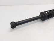 Federbein Rechts Hinten YS6118K076AC Ford Fiesta 4 Schr?gheck 1.6 16V (L1V) 2001-06