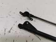 Gasdruckfedern Set Hinten 51247060622 BMW 1 serie (E87/87N) Schrägheck 5-drs 120d 16V (N47-D20A) 2004