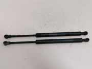 Gasdruckfedern Set Hinten 51248254281 BMW 3 serie (E46/2) CoupÃ© 330 Ci 24V (M54-B30(306S3)) 2001-05