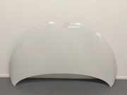 Motorhaube 651004516R Renault Zoé (AG) Schrägheck 5-drs R90 (5AQ-601) 2019-02