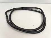 TÃ¼rgummis Links Hinten 4L0833721 Audi Q7 (4LB) SUV 3.0 TDI V6 24V (BUG) 2006-09