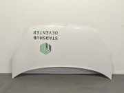 Motorhaube 651009758R Renault Kangoo Express (FW) Van ZE (5AQ-604) 2019-10