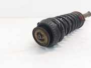 Federbein Links Hinten YS6118K076AC Ford Fiesta 4 Schr?gheck 1.6 16V (L1V) 2001-06