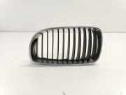 Grill 51137166439 BMW 1 serie (E87/87N) SchrÃ¤gheck 5-drs 116i 1.6 16V (N45-B16A) 2009-06