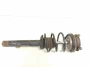 Federbein Rechts Vorne 31316771724 BMW 3 serie (E90) Limousine 318i 16V (N43-B20A) 2008-02