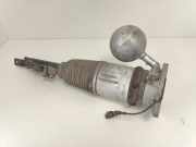 Federbein Links Hinten ED0616001F Volkswagen Phaeton (3D) Limousine 3.2 V6 30V (BKL) 2004-05 BKL