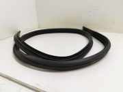 Türgummis Links Hinten Ford Focus 2 Schrägheck 1.6 16V (SHDA(Euro 5)) 2010