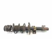 Federbein Links Vorne 1S0413031C Skoda Citigo Schrägheck 1.0 12V (CHYA) 2013-07