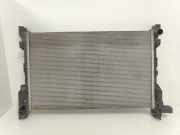 Radiator 93868888 Renault Trafic (1FL/2FL/3FL/4FL) Van 1.6 dCi Twin Turbo (R9M-413(R9M-H4)) 2016-11