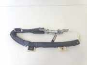 Dachairbag Rechts 00517829800 Fiat 500 (312) SchrÃ¤gheck 1.2 (169.A.4000(Euro 5)) 2009-11
