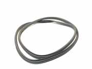 Türgummis Links 8200428876 Renault Clio III (BR/CR) Schrägheck 1.2 16V TCe 100 (D4F-784(D4F-H7)) 2010-07