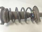 Federbein Links Vorne 8200868516 Renault Kangoo/Grand Kangoo (KW) Großraumlimousine 1.5 dCi 70 (K9K-840) 2008-07