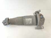 Federbein Links Hinten 7L8616019 Audi Q7 (4LB) SUV 3.0 TDI V6 24V (BUG) 2006-08