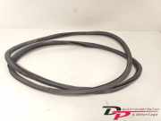 Türgummi links vorne VW Touran 1T1, 1T2 1T0867911