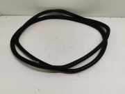 Heckklappe Gummi Skoda Fabia (6Y2) Schrägheck 5-drs 1.4i (ATZ) 2000-08