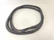 Türgummis Rechts Hinten 6R6867912A Volkswagen Polo V (6R) Schrägheck 1.2 TSI (CBZB) 2010-05 CBZB