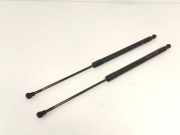 Gasdruckfedern Set Hinten 9681486580 CitroÃ«n C3 Picasso (SH) GroÃŸraumlimousine 1.6 16V VTI 120 (EP6C(5FS)) 2009-06 EP6C(5FS)