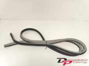 Türgummi links vorne Chevrolet Aveo Schrägheck T200, T250 96473300
