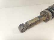 Federbein Rechts Hinten 7L8512021BB Audi Q7 (4LB) SUV 3.0 TDI V6 24V (BUG) 2006-09