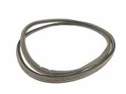 Heckklappe Gummi AM51R404A06BC Ford C-Max (DXA) GroÃŸraumlimousine 1.0 Ti-VCT EcoBoost 12V 125 (M1DD) 2013-10